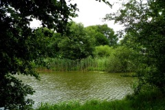 Een van de vele wielen in dit gebied