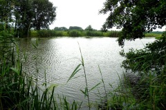 Buitenwiel in de Zooislagen