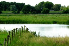 Richting Inlaagdijk vanaf de Zooislagen