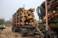 Er is gekapt om ruimte te maken voor een weg Er is gekapt om ruimte te maken voor een weg