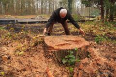 Zo dik was de boom Zo dik was de boom