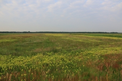 Overzicht Vlijmens Ven
