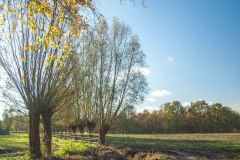 Samentuinen Samentuinen