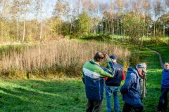 Natuurbeheer in Baardwijkse Overlaat