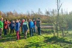 Natuurbeheer in Baardwijkse Overlaat