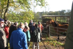 Samentuinen Samentuinen