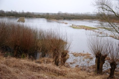 Wandeling Moerputten 2015