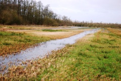 Wandeling Moerputten 2015