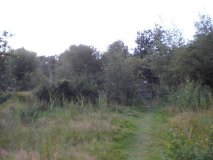 Raadsleden in Baardwijkse Overlaat 2010