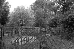 Eendenkooi Ter Kwak 2011