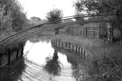 Eendenkooi Ter Kwak 2011