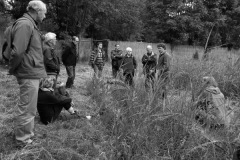 Eendenkooi Ter Kwak 2011