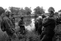 Eendenkooi Ter Kwak 2011