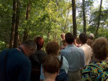 Eendenkooi 2005 Eendenkooi 2005