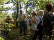 Eendenkooi 2005 Eendenkooi 2005