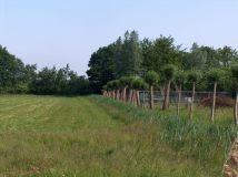 Eendenkooi 2005 Eendenkooi 2005