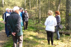 Wandeling Loonse en Drunense Duinen 2015