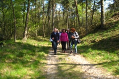 Wandeling Loonse en Drunense Duinen 2015
