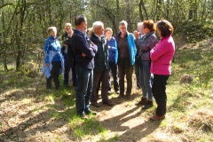 Wandeling Loonse en Drunense Duinen 2015