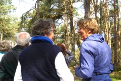 Wandeling Loonse en Drunense Duinen 2015