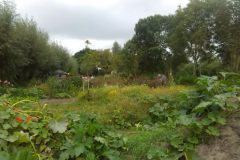 Samentuin De Zwollemoer