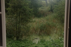 Uitzicht vanuit jachthuis Hooibroeken