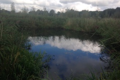 Wandelingetje rond de wiel