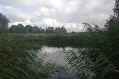 Wandelingetje rond de wiel
