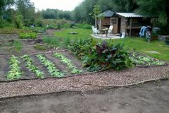 Samentuin De Zwollemoer