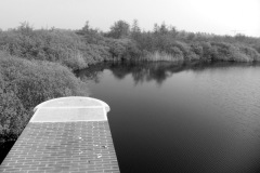 Wandeling Moerputten 2011