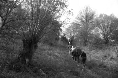 Wandeling Moerputten 2011