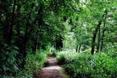 Nederhemert 2016 Nederhemert 2016