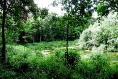 Nederhemert 2016 Nederhemert 2016