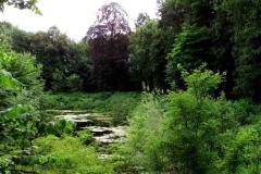 Nederhemert 2016