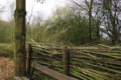 Wandelen Baardwijkse Overlaat 2014