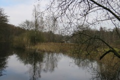 Wandelen Baardwijkse Overlaat 2014