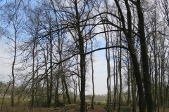 Wandelen Baardwijkse Overlaat 2014