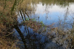 Wandelen Baardwijkse Overlaat 2014