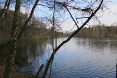 Wandelen Baardwijkse Overlaat 2014