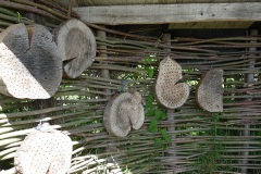 Insectenhotel