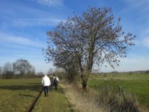 Nederhemert Zuid 2010