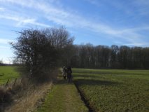 Nederhemert Zuid 2010