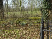 Nederhemert Zuid 2010