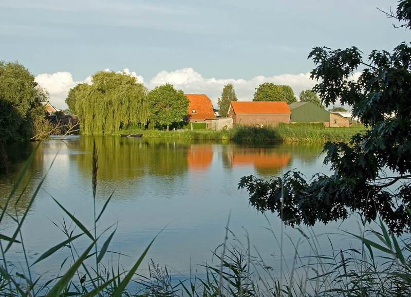 Huizen aan de visvijver