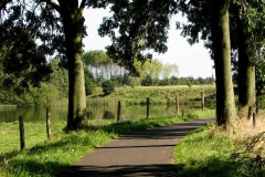 Het fietspad op de Zeedijk