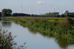 Sloot richting Afwateringskanaal (Drongelens kanaal)