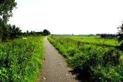 Fietspad over Zeedijk bij Doeveren