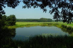Een van de Elshoutse Wielen gezien vanaf de Zeedijk in Elshout
