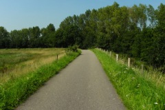 Fietspad over de Zeedijk bij Elshout