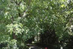 De Zeedijk bij Doeveren